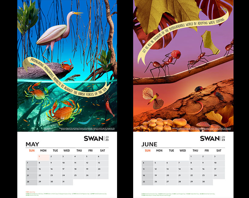 FCBCREAD Swan Calendar Corporate communication branding and design